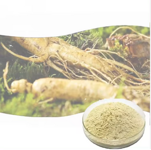 Natural korean red ginseng extract ginsenosides powder 5%-80% supplement ginsenoside