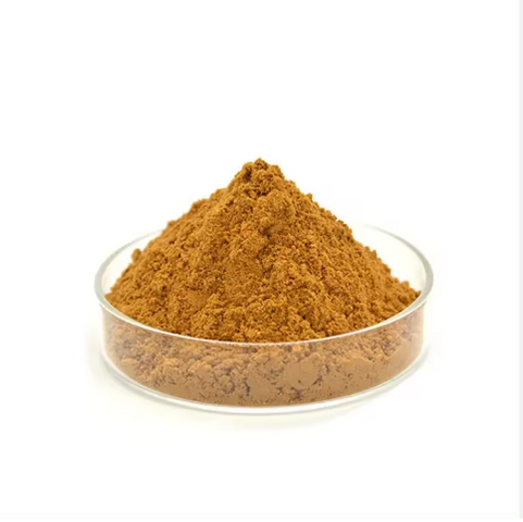 Organic 24% Flavones ginkgo biloba leaf extract powder egb 761 ginkgo biloba extract