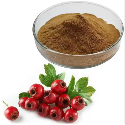 Hot Selling HawthornFruit extract hawthorn berry plants extract powder