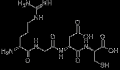 Cell Adhesive Peptide CAS 109292-46-8