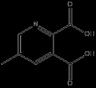 5-Methylpyridine-2,3-dicarboxylic acid CAS 53636-65-0