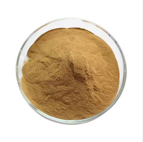 Wholesale Natural Nigella Sativa seed Extract 5% 10% thymoquinone